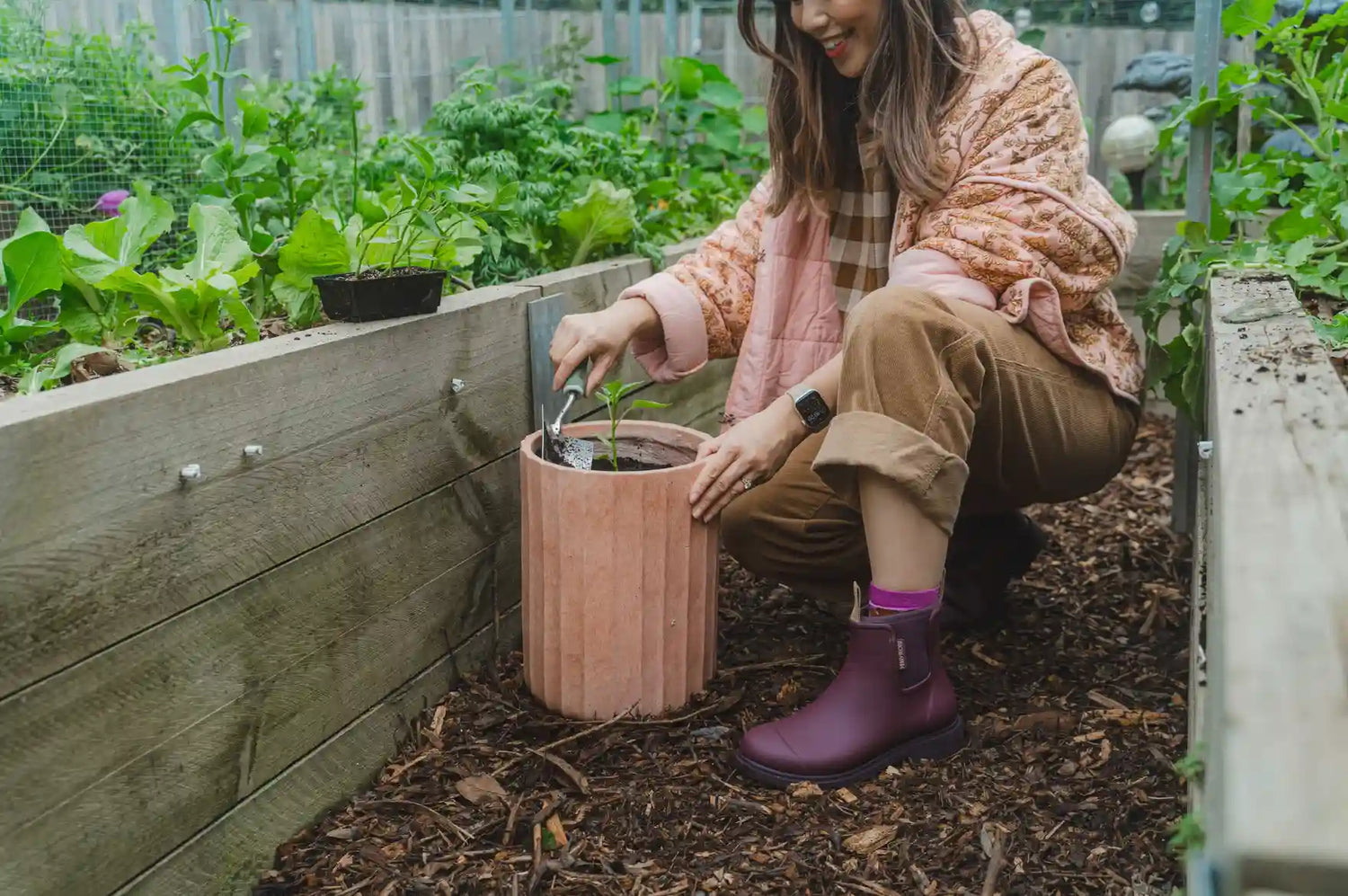 3 Super Simple Veggies to Plant In Pots (In Time for Summer Salads!)