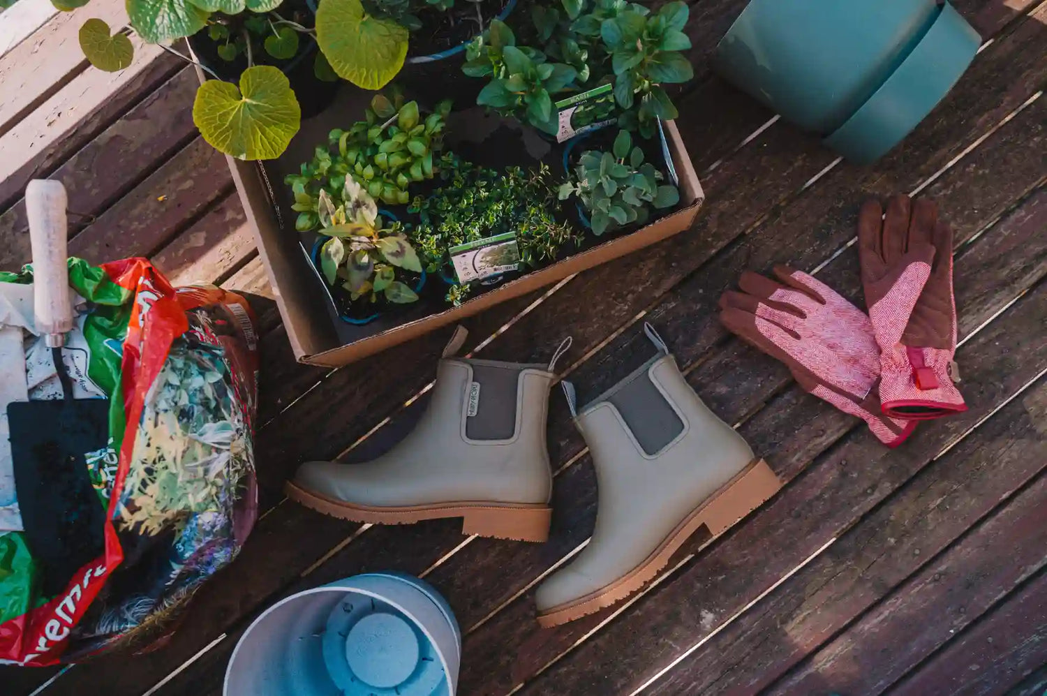 Connie Cao’s Top 8 Tips for Growing Your Herb Garden in Small Spaces