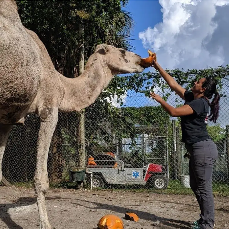 Merry Interviews | Martha Frassica-Rivera, Everglades Outpost Wildlife Sanctuary - Merry People