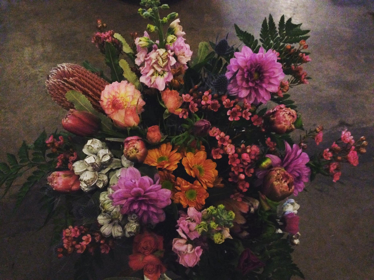 13 Plant Happy Accounts to Follow on Instagram - Merry People