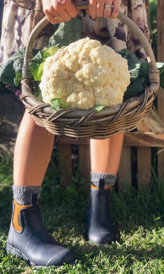 Image by urbanveggiepatch