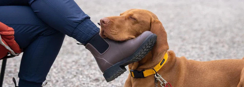 Here's Why These Are the Best Gumboots for Dog Walking